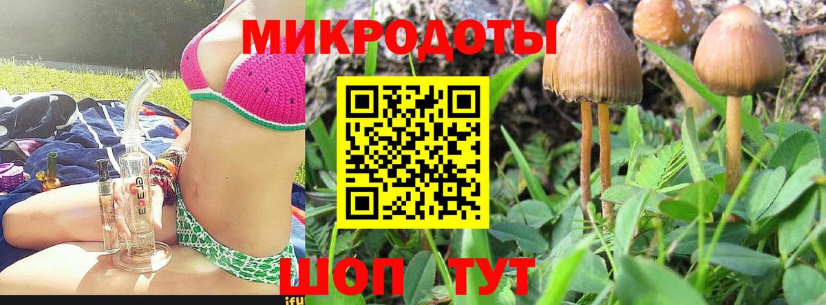Псилоцибиновые грибы Magic Shrooms Фурманов